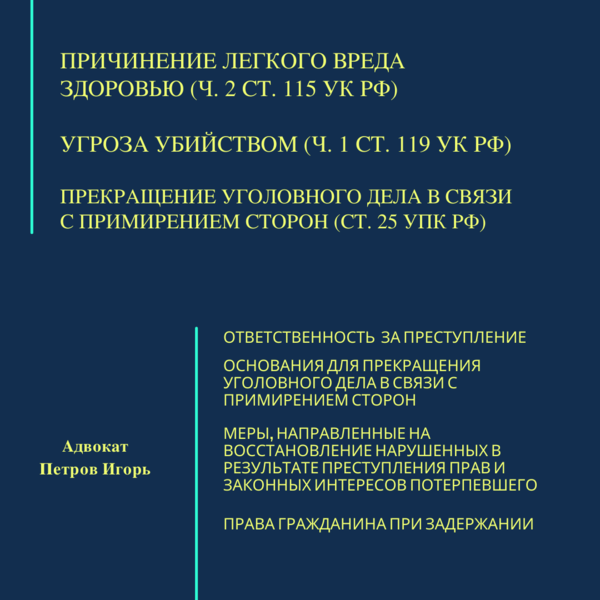 Причинение легкого вреда здоровью (ч. 2 ст. 115 УК РФ), угроза убийством (ч. 1 ст. 119 УК РФ), прекращение уголовного дела в связи с примирением сторон